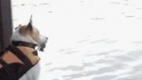 ترمز بریــــــــد