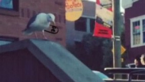 اخر خلاقیت ...