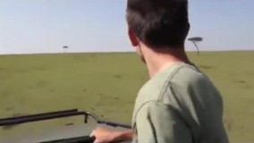 عکس‌العمل جالب شیرها در مقابل دوربین حیات وحش