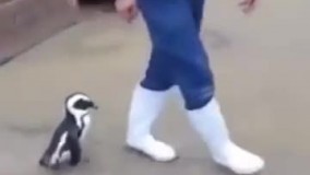 وضعیت دانشجوها و استادها به زودی در سراسر کشور .. 