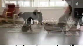 کلیپ جدید سگ باهوش