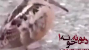 بهترین میکس تاریخ