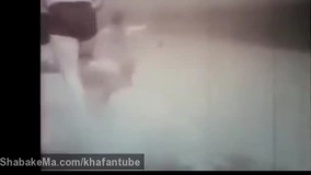 حمله مار اناکوندا به انسان تا سر حد مرگ