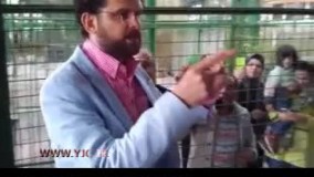 حمله ببر به مجری سینما