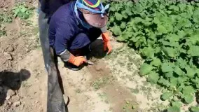 وسیله ای برا وجین دستی 