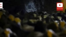 قسمت سیزدهم سریال علی البدل