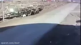تصادف وحشتناک با گله گوسفندان در سردشت