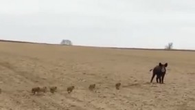 مهر مادرانه