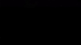 مسابقه استعدادیابی حیوانات!  ????مسلماً برنده امسال خروس خواهدبود