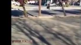 ضرب و شتم وحشیانه شهروند آمریکایی توسط پلیس این کشور