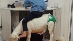 اینم دیگه اخر صندلیه