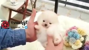 ای جونم اینو???? یه دونه ازینا لدفن????????☺️