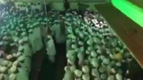 به این میگن یک پارتی تمام عیار ????