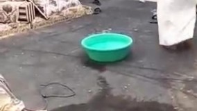 غسل عربی دیدید - اینو نگاه کنید می ترکید