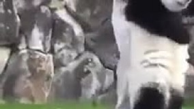 وقتی منو واسه سحری بیدار میکنن