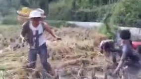 مجموعه اتفاقات فوق العاده خنده دار