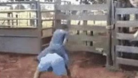 از گاو وحشی هم وحشی تره