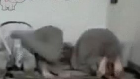 تو باشی مردم آزاری نکنی ????