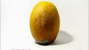 مراحل پوسیدن مواد غذایی