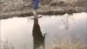 آقا منم هستم