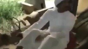 اینارو ببینین یکم روحیتون عوض شه????????????????????