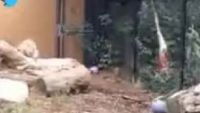 من، به محض شنیدن صدای اذان 