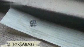 فیلم ناراحت‌کننده از برخورد زشت و غیراخلاقی با روزه‌خواران????????