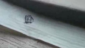 برخورد تند با روزخواران