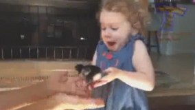 وااااااااااااااااااااای قیافشوووووووووووووو