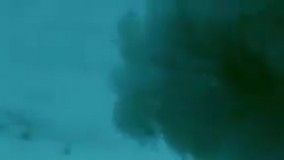 کی گفته فقط انسان خلاقیت داره؟