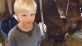 برو اونور دیگه بابا داریم یه لقمه غذا میخوریما!