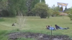 ببینین فقط چجوری این سه تا مرد گنده دارن از دست یه غاز  فرار میکنن .