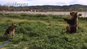 اخیییییییییش خنک شدیما