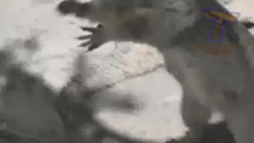 بازم بده بازم بده 