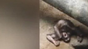 من وقتی بیست دقیقه مونده به افطار