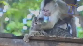 صبر کن میخوام بهت تنفس مصنوعی بددددددددم