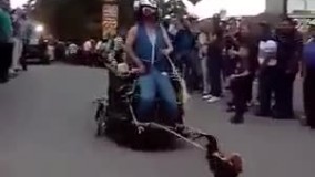 ببینید خروسه چه میکنه????????