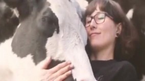 بالاخره گاو هم به آرامش نیاز داره ! ????