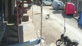 يه خصومت شخصي داشت باهاش????????