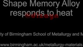 ساخت گل مصنوعی