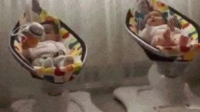 دلم میخواد بمیرم دوباره دنیا بیام???? زمان ما مارو میزاشتن رو پا اونقدر تکون میدادن که غشای سلولی و پلاسمای خونمون جدا میشد????????