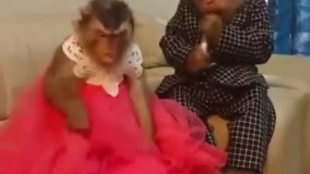 وااااااااااااای ترکیدم از خنده