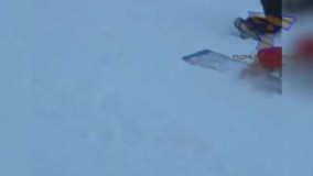 حیوانات جالب و باحال