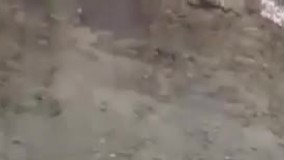 فارغ از دنيا شنیدین اینه ????????????