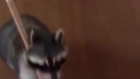 یه عالمه کار کرد آخرشم درخواست حقوق میکنه????????