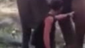 اعصاب نداره باهاش شوخی نکن  ????