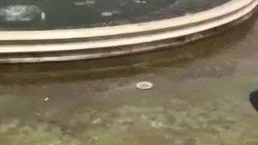 ???? ورود یک نفر به داخل حوض میدان شهرداری رشت و تلاش برای بیرون آوردنش - امروز جمعه