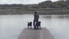 داداچ سگ هستن خر که نیستن????????