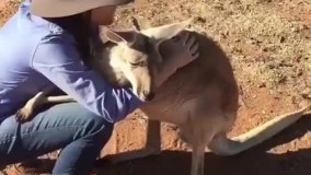 کاش یکی بود هر روز اینجوری بغلمون میکرد