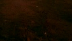 زیبایی های حریم صحرایی امامزاده سید صدرالدین اردبیل 